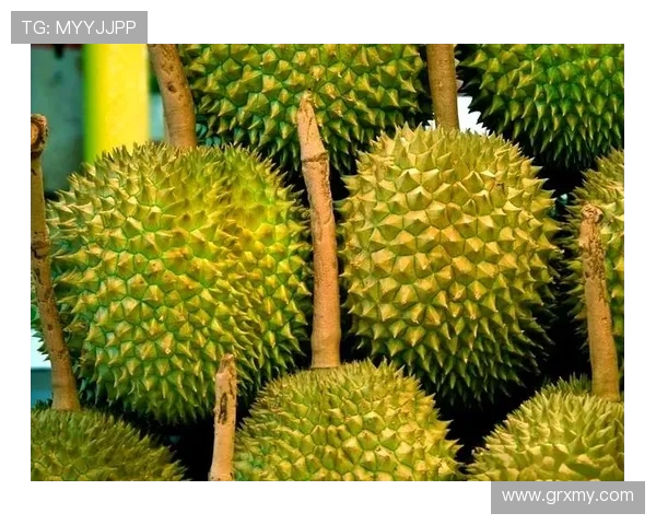 潇仔赛后回应雕刻家选择：战术考量与娱乐效果的平衡